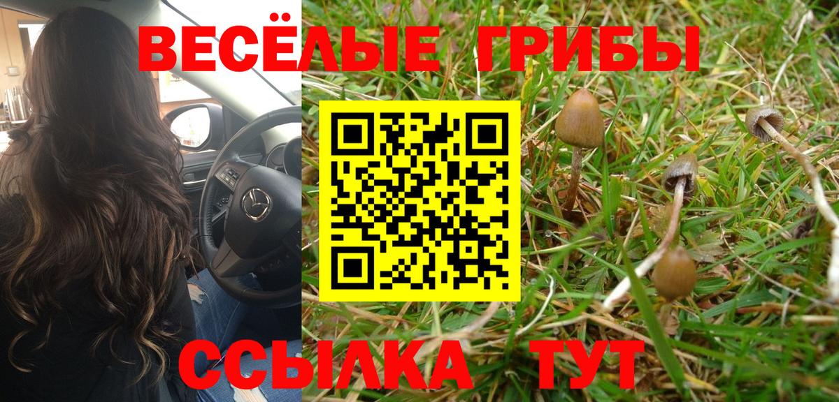 Сыктывкар  Галлюциногенные грибы GOLDEN TEACHER  Псилоцибиновые грибы Psilocybine cubensis  Вход с VPN 