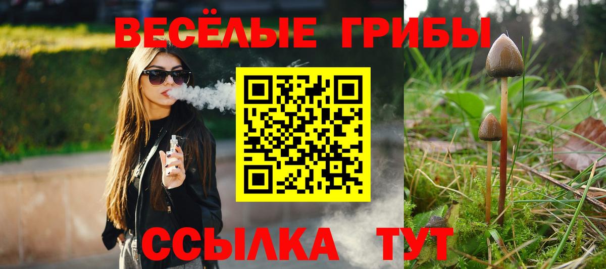 Галлюциногенные грибы GOLDEN TEACHER Сыктывкар